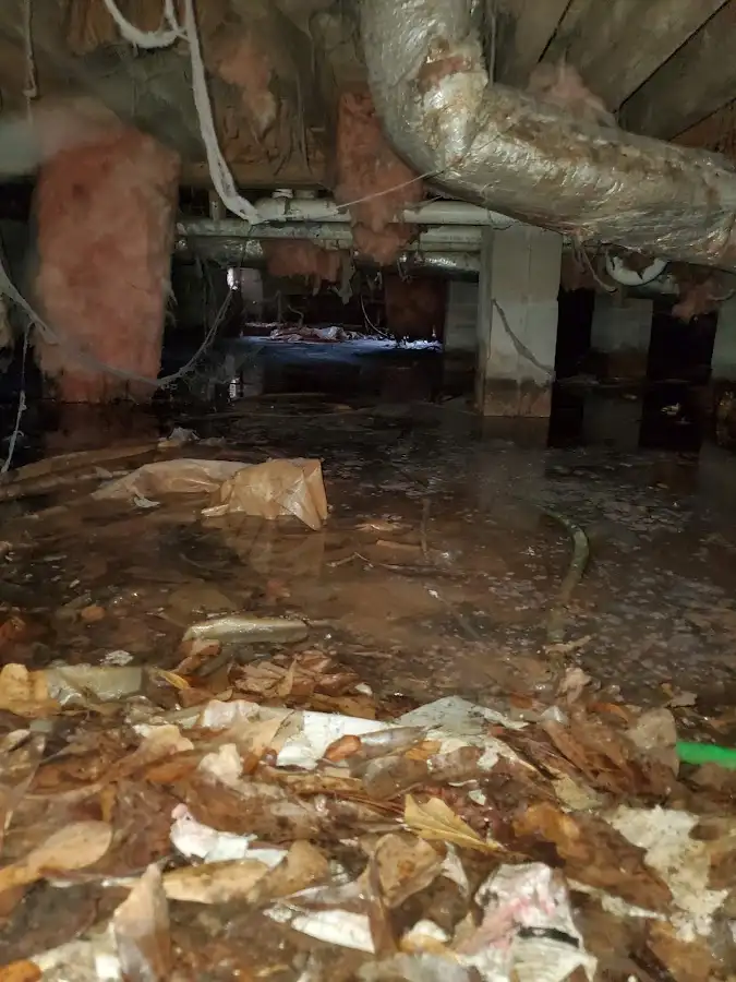 Crawl space flood assessment for Leak Detection & Repair in Lacombe