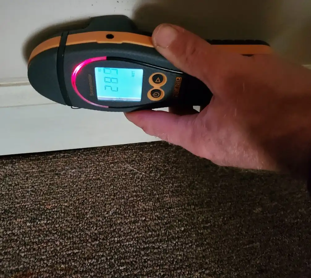 Moisture detection at baseboard during Mold Inspection & Testing in Lacombe